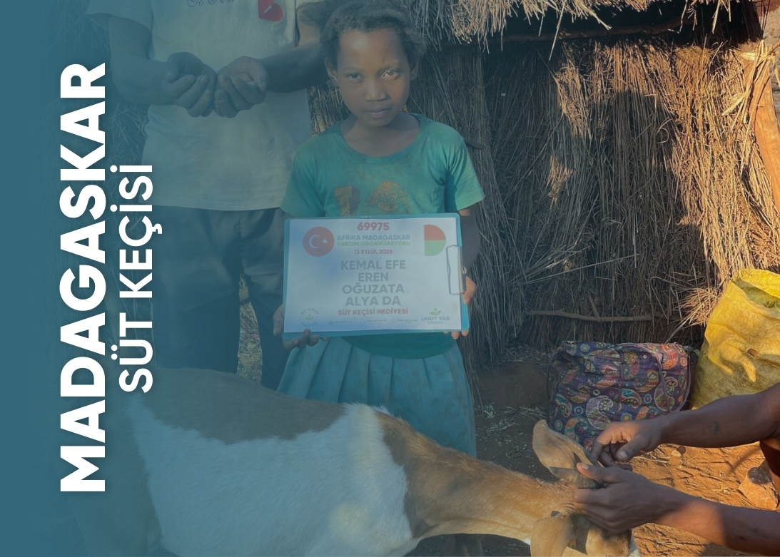 Madagaskar Süt Keçisi