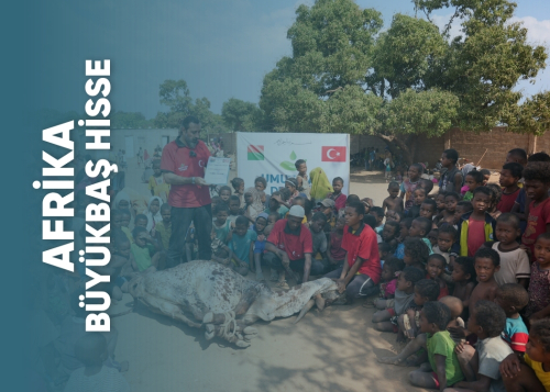 Kurban Bayramı Büyükbaş Hisse