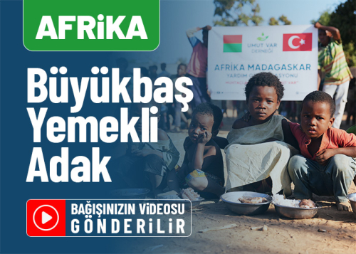 Afrika Büyükbaş Yemek Adak