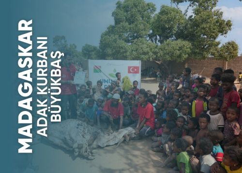 Madagaskar Büyükbaş Adak