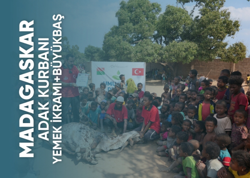 Madagaskar Büyükbaş Yemek Adak