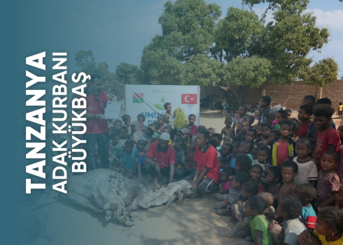 Tanzanya Büyükbaş Adak