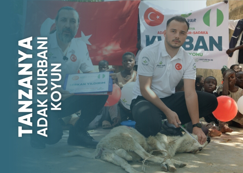 Tanzanya Koyun Adak